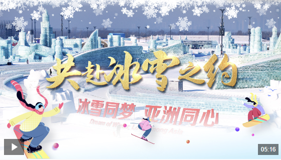 赛事表现与